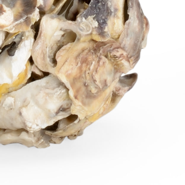 Oyster Shell Candleholder (Pr) | Chelsea Lighting - 384571