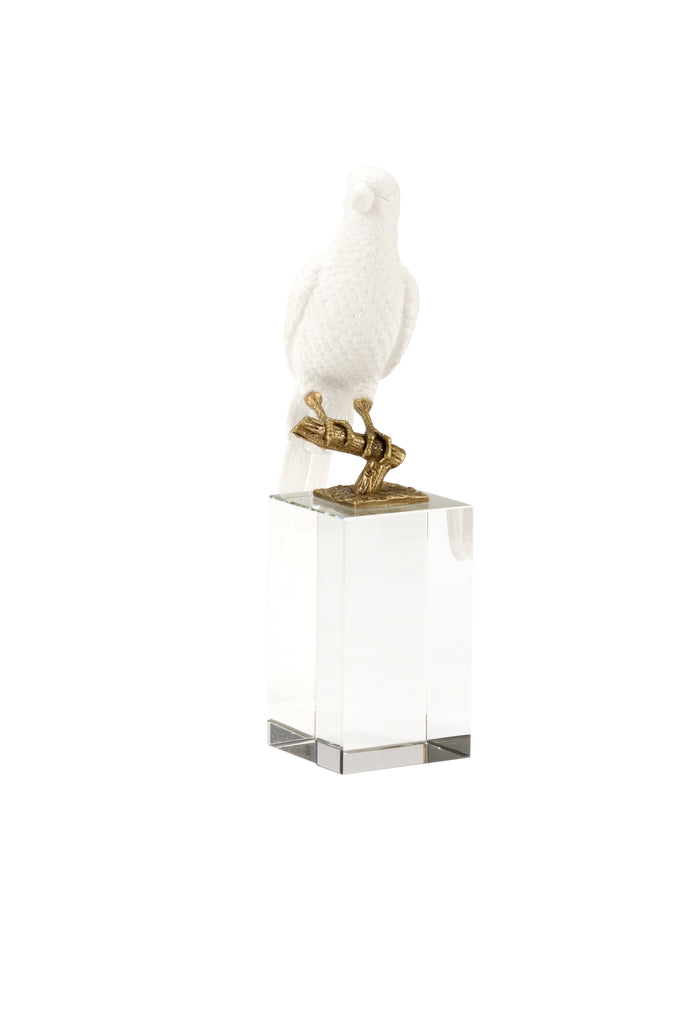 Parrot On Crystal - Square (Lg) | Chelsea Lighting - 385033