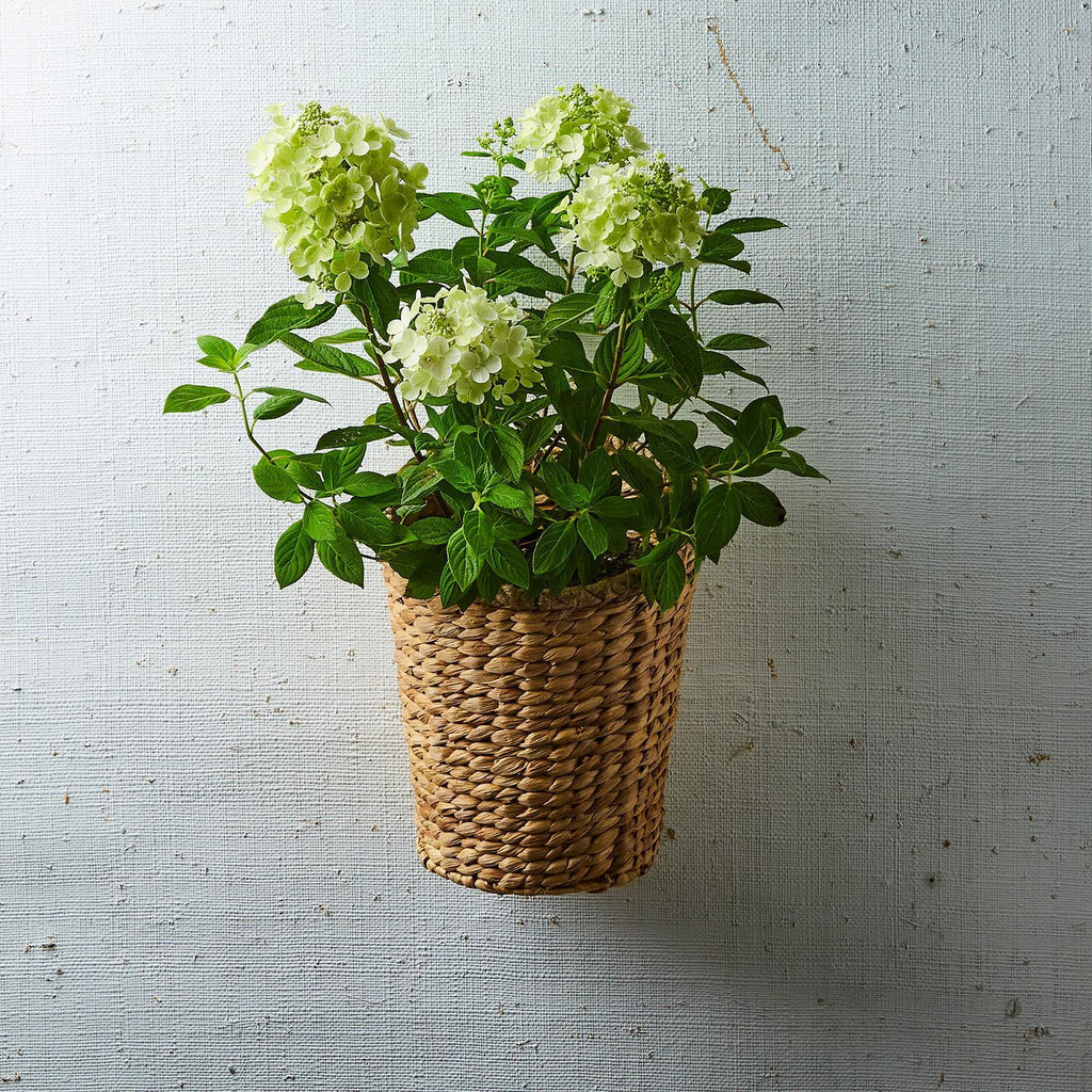 Rice Nut Weave Hanging Storage / Planter Basket