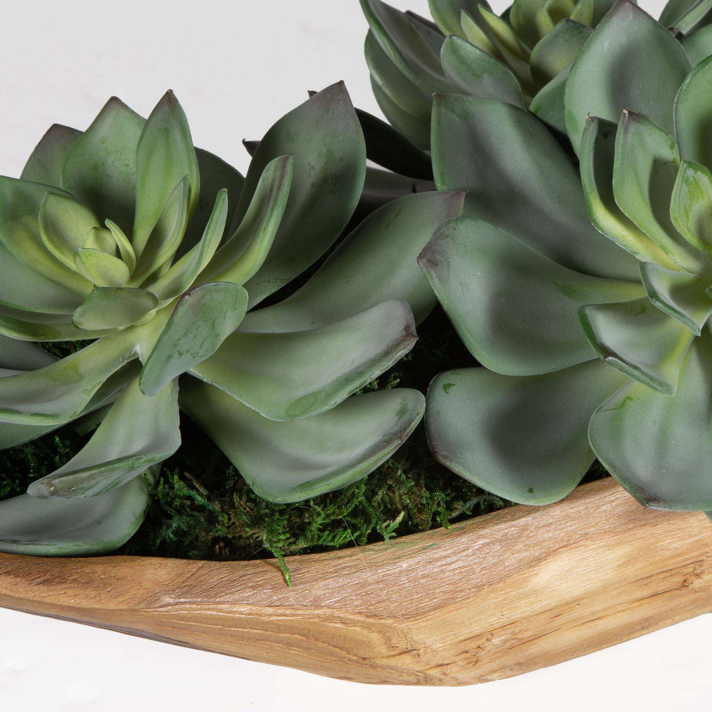 Yuma Succulent Centerpiece | Uttermost - 60205