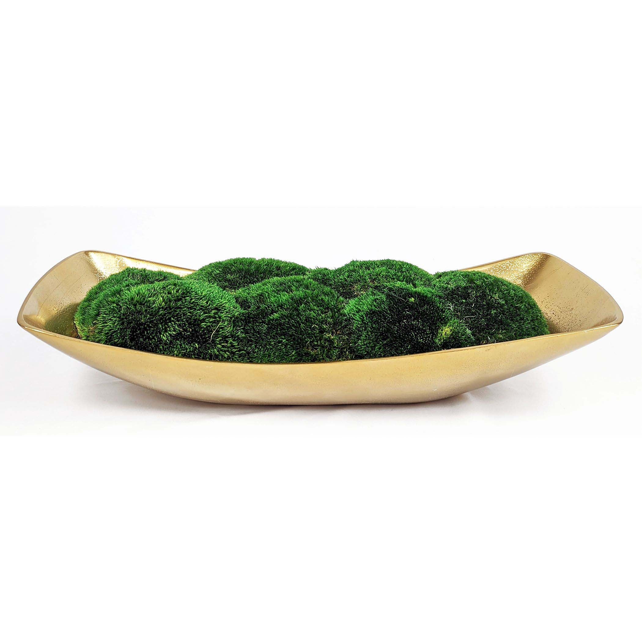 Uttermost Preserved Moss Arrangement in Pot