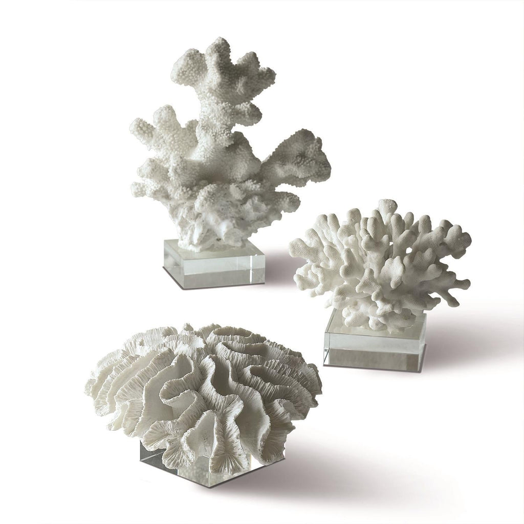 Two's Company Reef White Coral Sculptures on Glass Stand (set of 3)