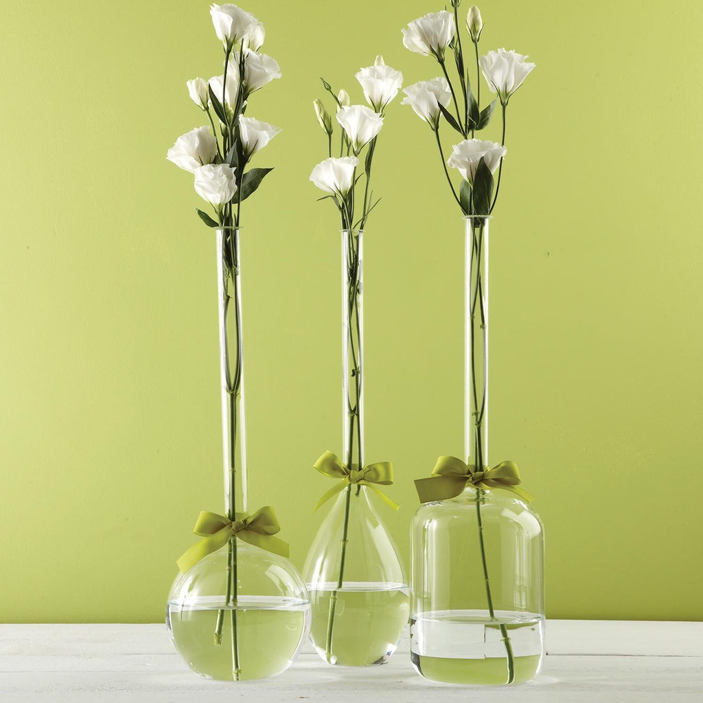 Two's Company Vase Trio with Sage Green Ribbon - Hand-Blown Glass (includes 3 shapes)