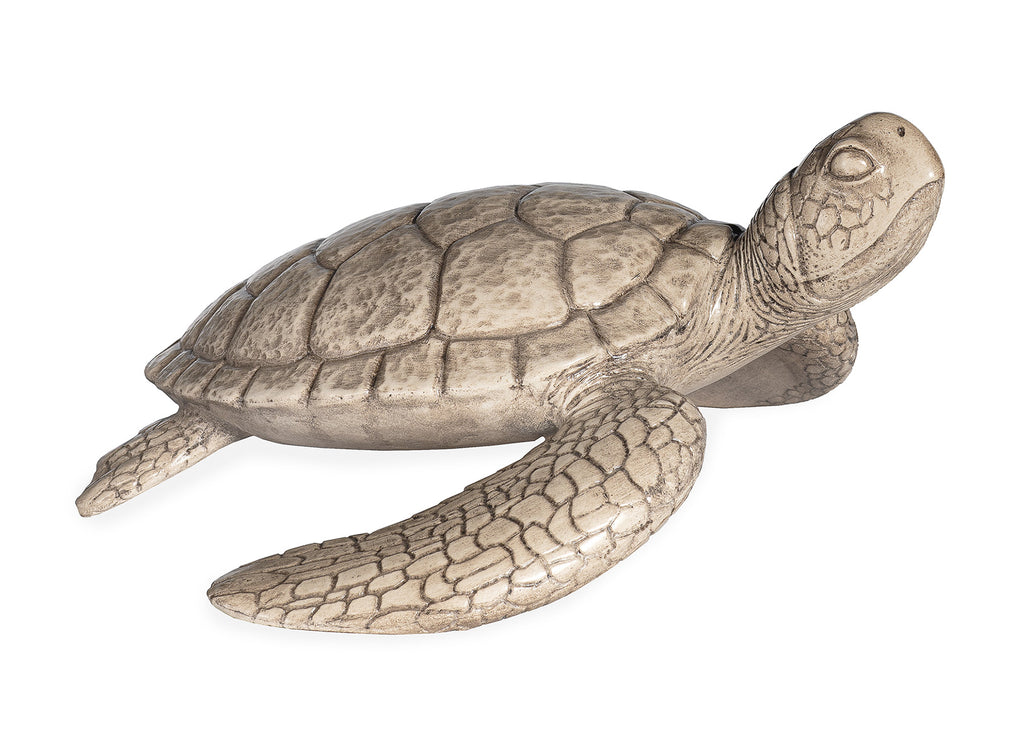 Shelldon Tortoise Accessory Grey Wash | Maitland Smith - 8350-10G