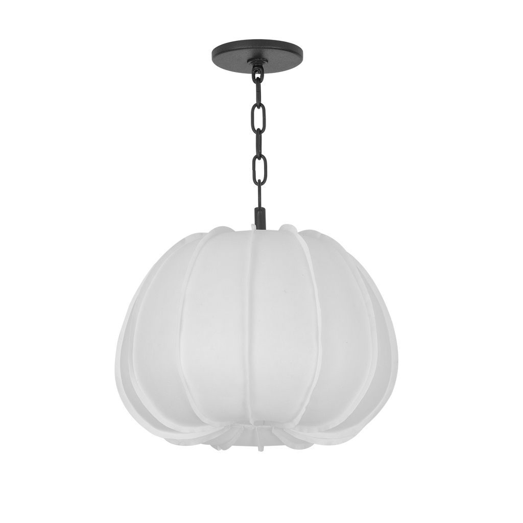 Bayu Pendant | Troy Lighting - F2616-For