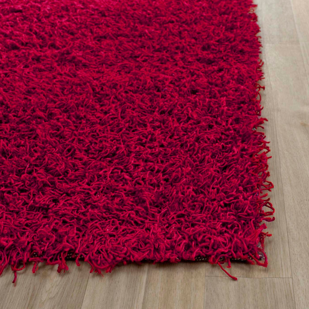 Safavieh Monterey Shag 51 Rug, SG851