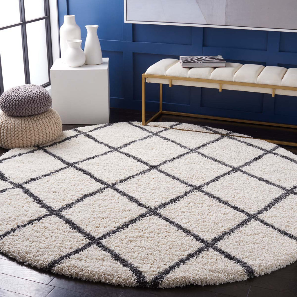 Safavieh Hudson Shag 222 Rug, SGH222