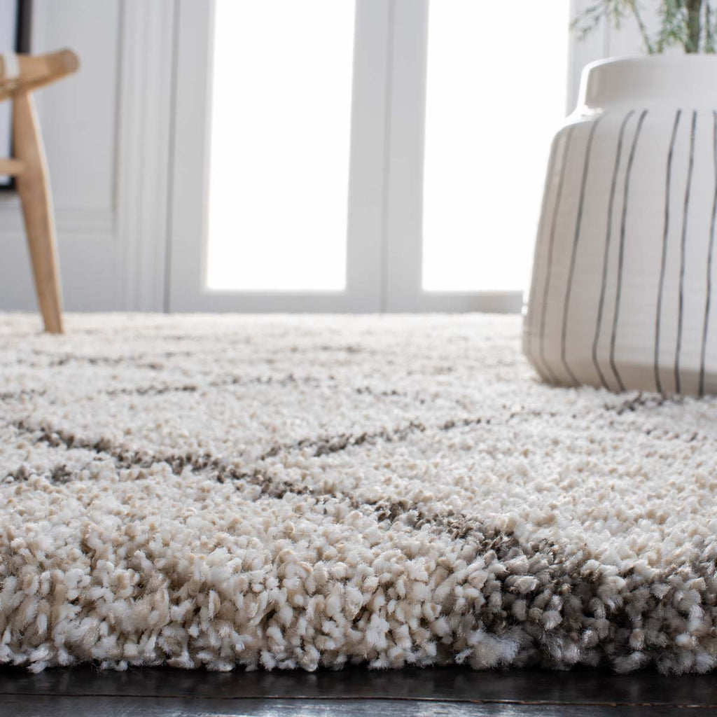 Safavieh Hudson Shag 222 Rug, SGH222