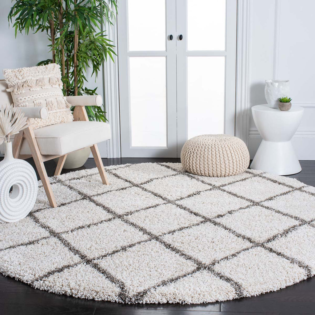 Safavieh Hudson Shag 222 Rug, SGH222