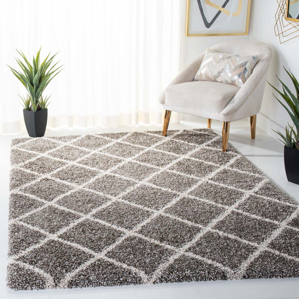 Safavieh Hudson Shag 222 Rug, SGH222