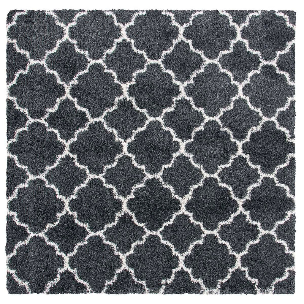 Safavieh Hudson Shag 222 Rug, SGH222