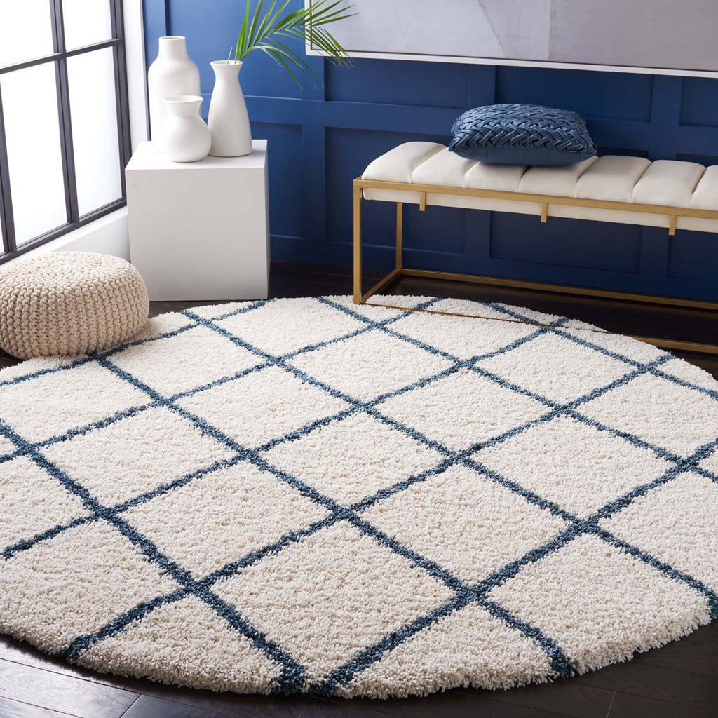 Safavieh Hudson Shag 222 Rug, SGH222