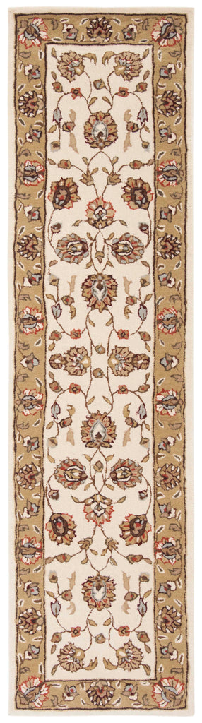 Safavieh Total Performance 416 Rug, TLP416