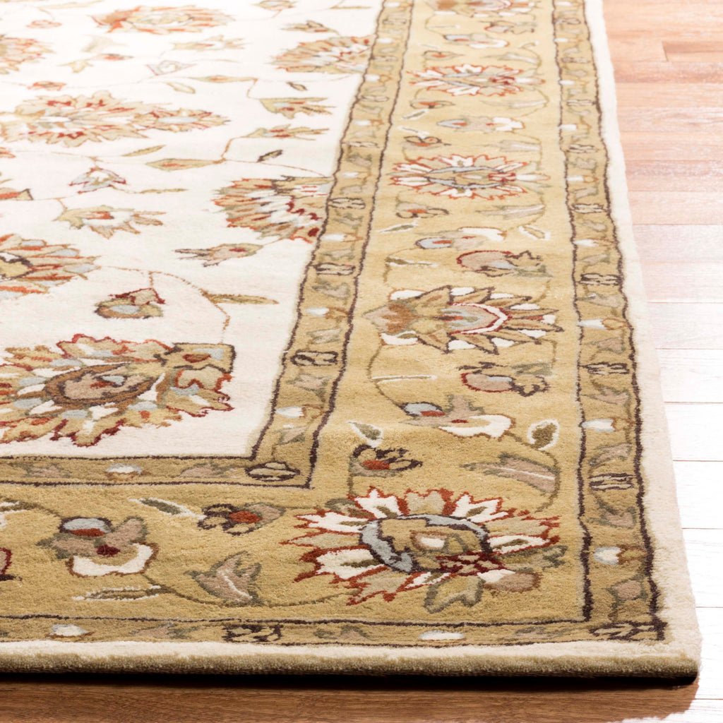 Safavieh Total Performance 416 Rug, TLP416