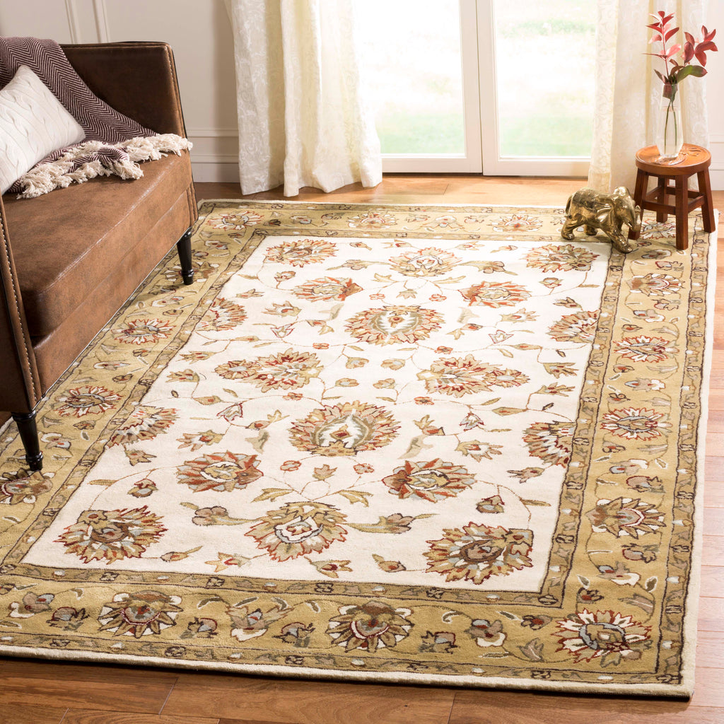 Safavieh Total Performance 416 Rug, TLP416