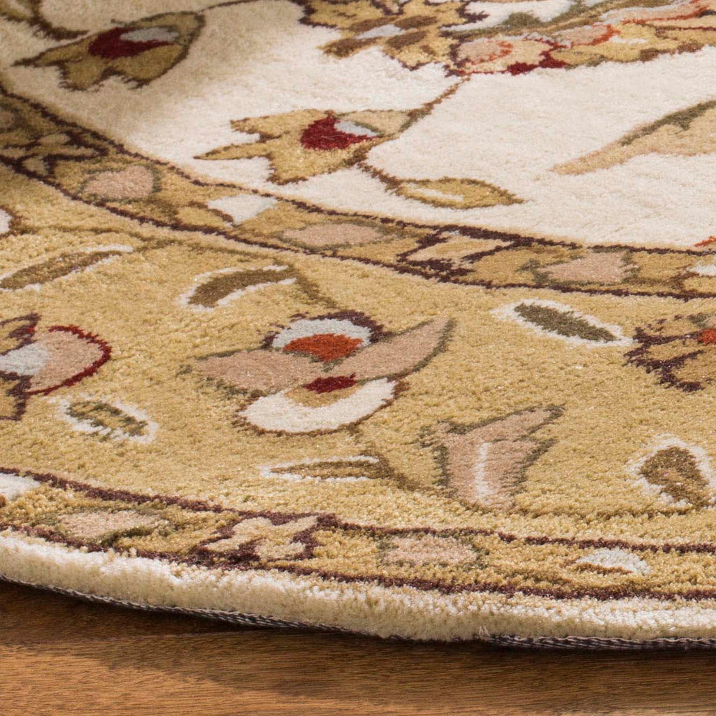 Safavieh Total Performance 416 Rug, TLP416