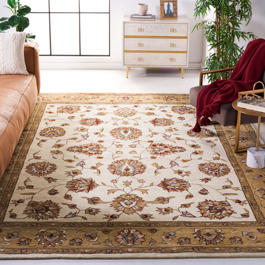 Safavieh Total Performance 416 Rug, TLP416