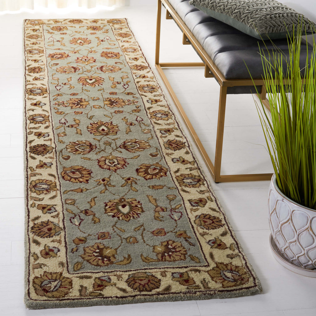 Safavieh Total Performance 416 Rug, TLP416