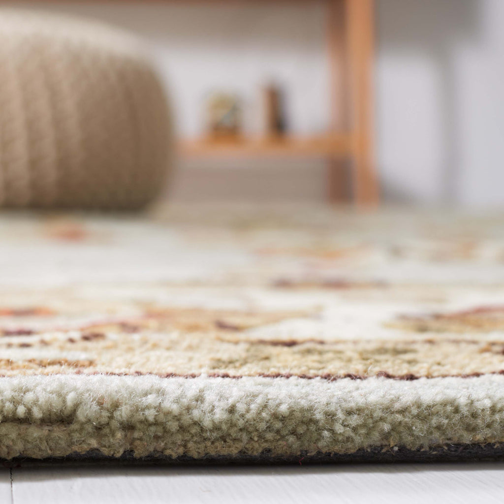 Safavieh Total Performance 416 Rug, TLP416