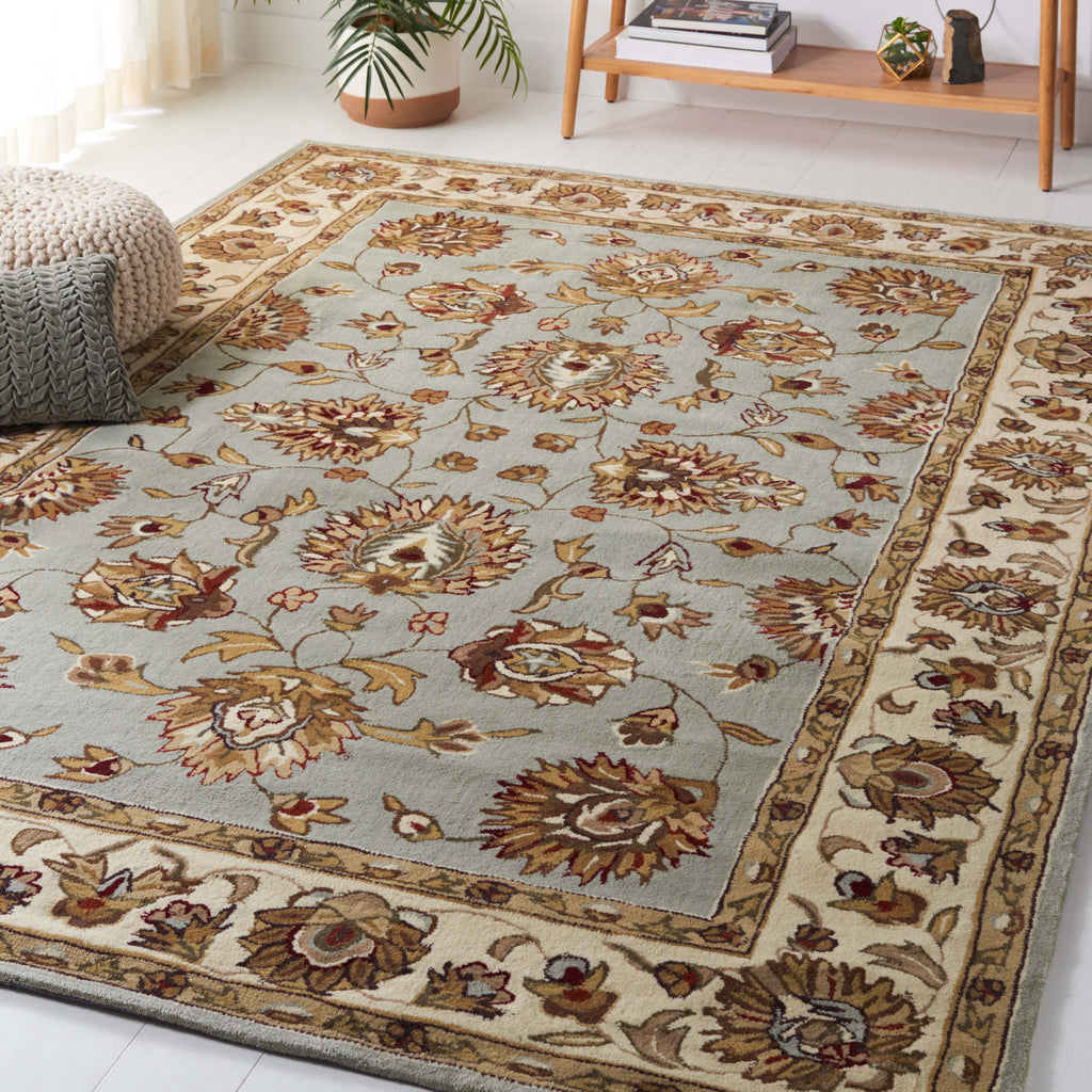 Safavieh Total Performance 416 Rug, TLP416