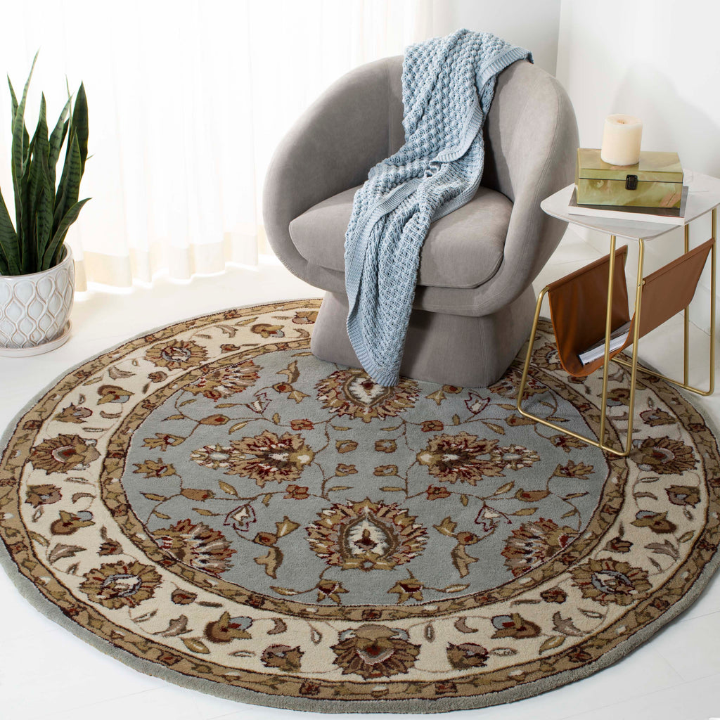 Safavieh Total Performance 416 Rug, TLP416