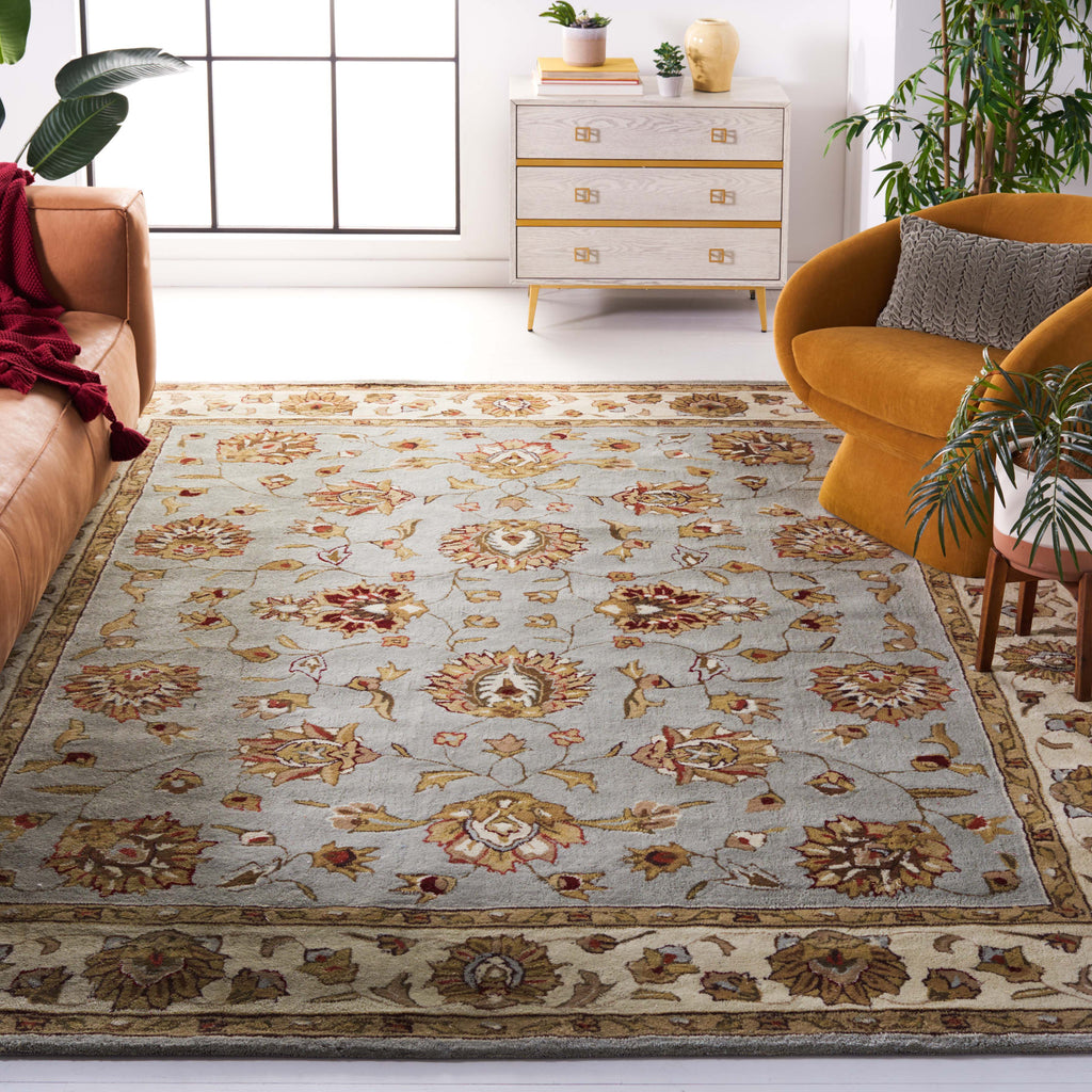 Safavieh Total Performance 416 Rug, TLP416