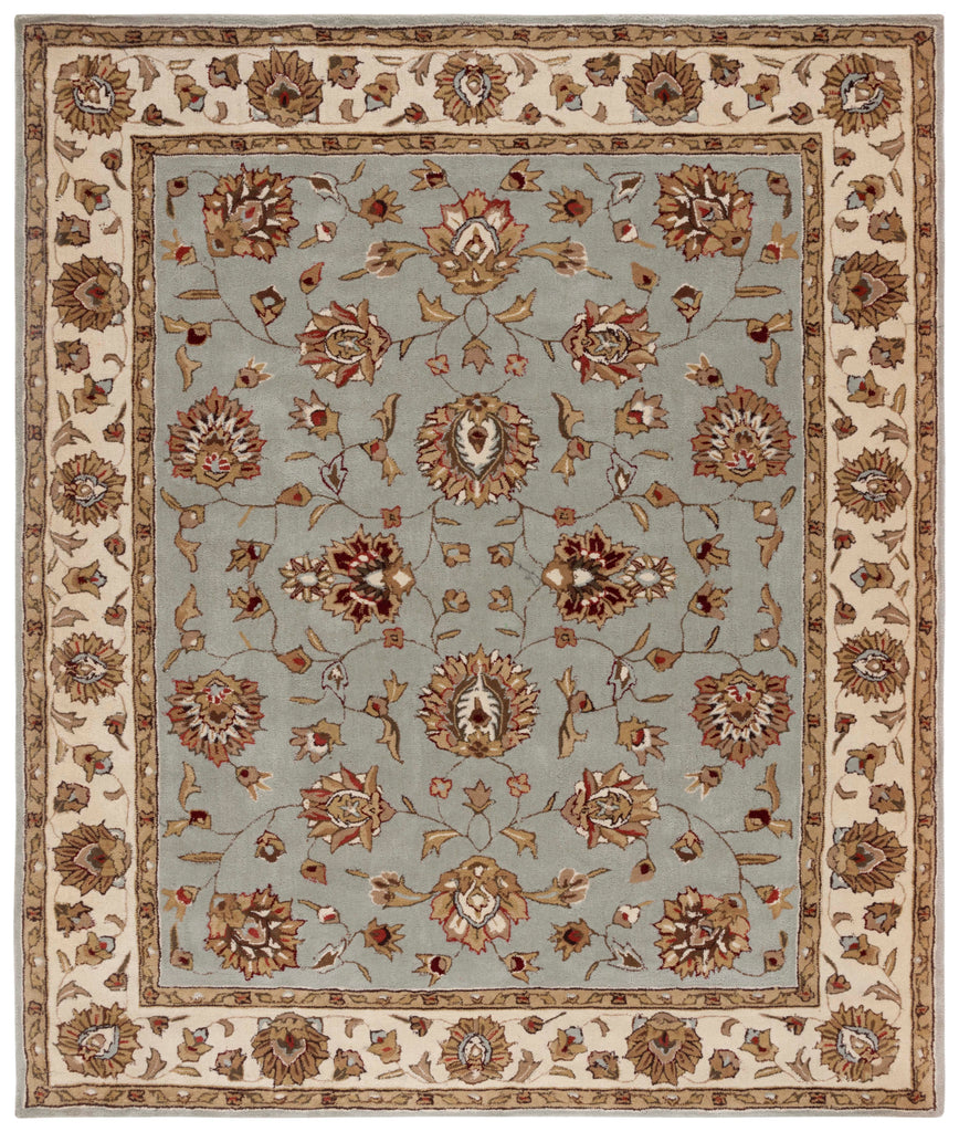 Safavieh Total Performance 416 Rug, TLP416