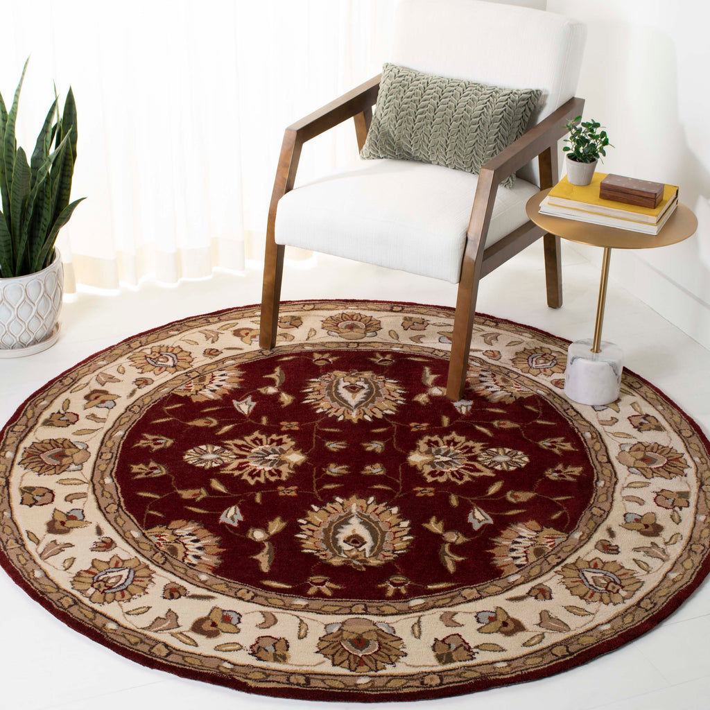 Safavieh Total Performance 416 Rug, TLP416