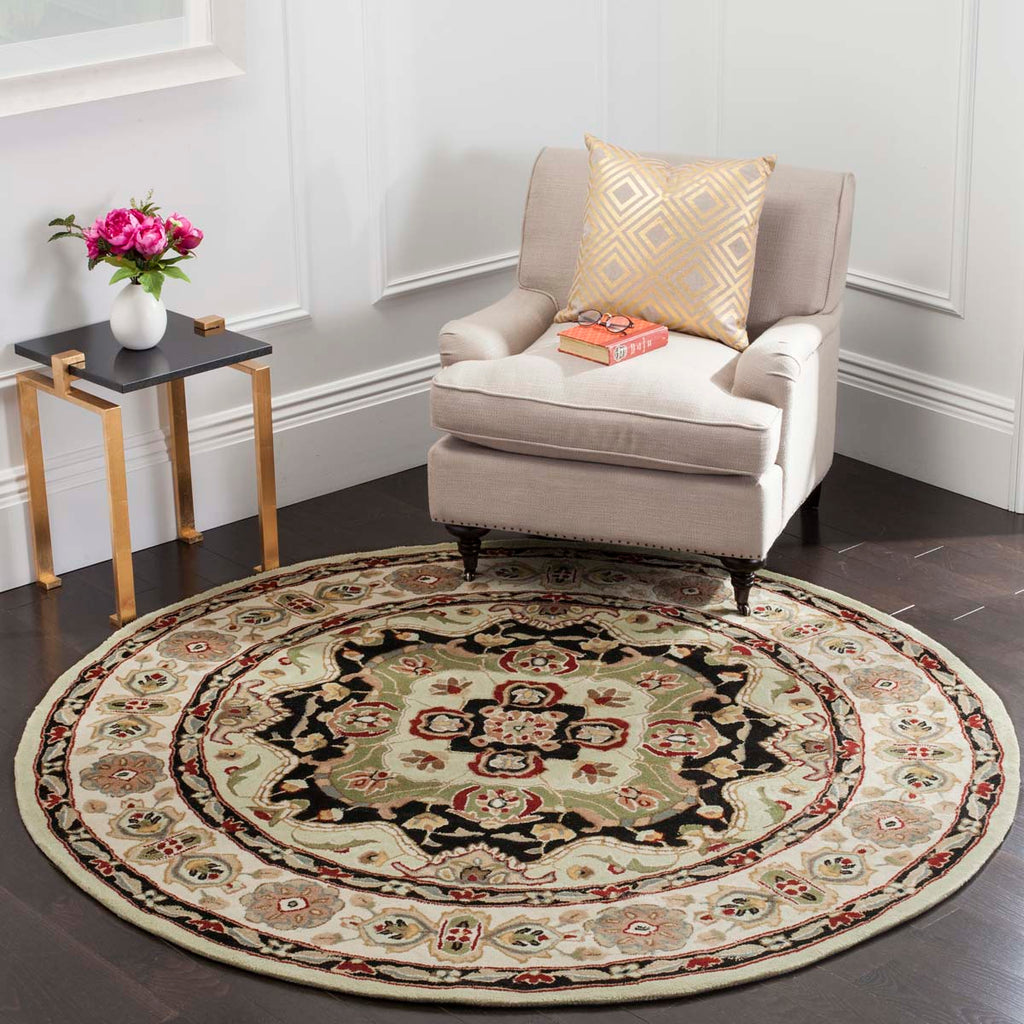 Safavieh Total Performance 718 Rug, TLP718