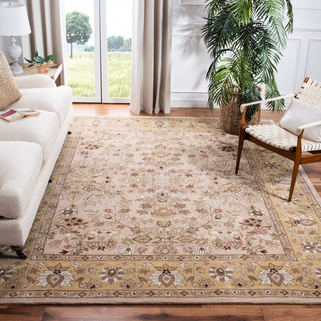 Safavieh Total Performance 721 Rug, TLP721