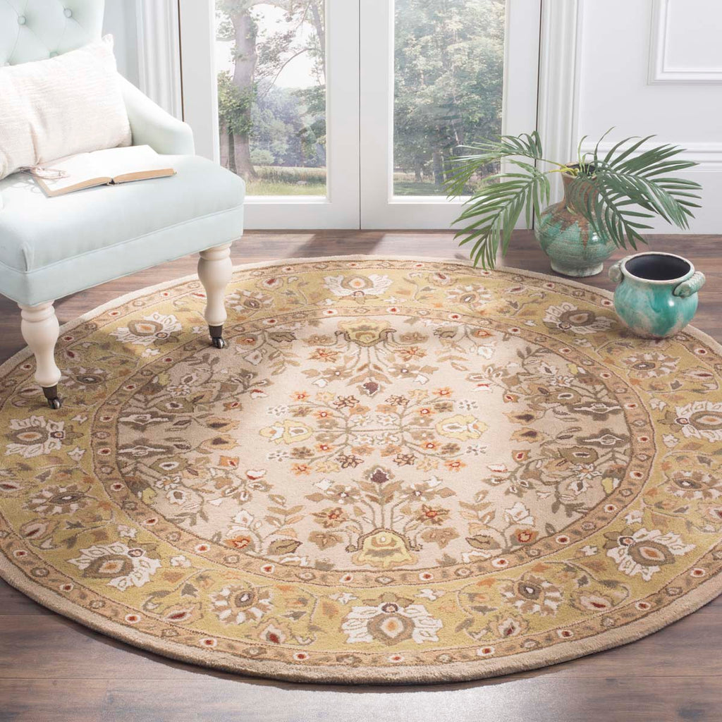 Safavieh Total Performance 721 Rug, TLP721