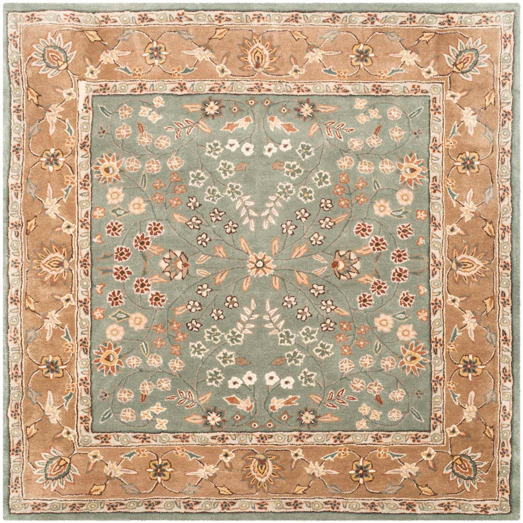 Safavieh Total Performance 722 Rug, TLP722