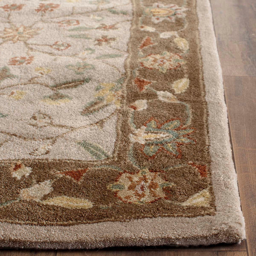 Safavieh Total Performance 722 Rug, TLP722