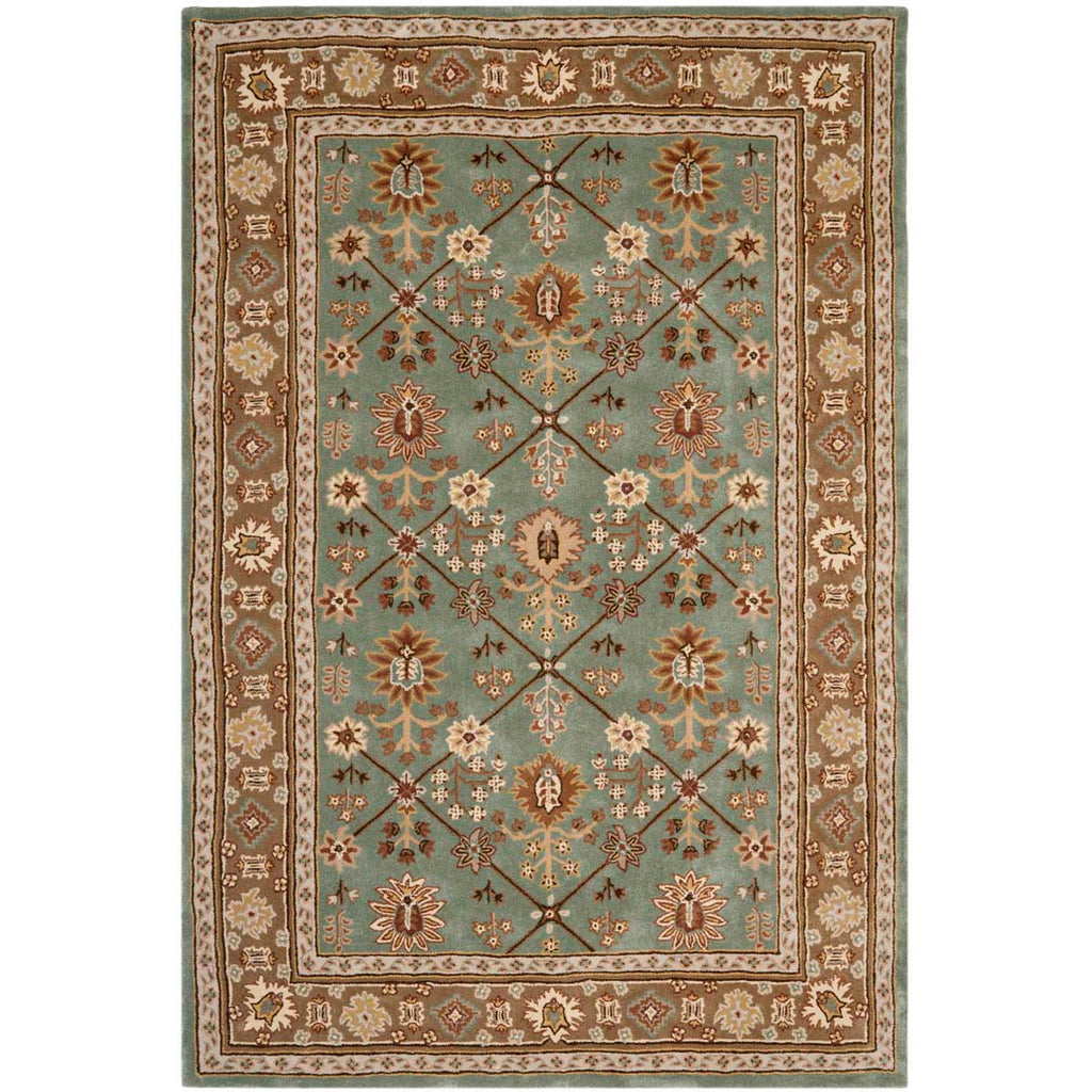 Safavieh Total Performance 723 Rug, TLP723