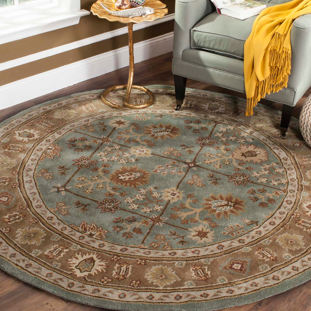 Safavieh Total Performance 723 Rug, TLP723