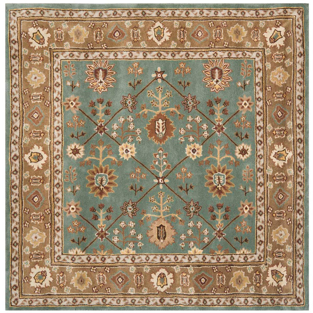 Safavieh Total Performance 723 Rug, TLP723