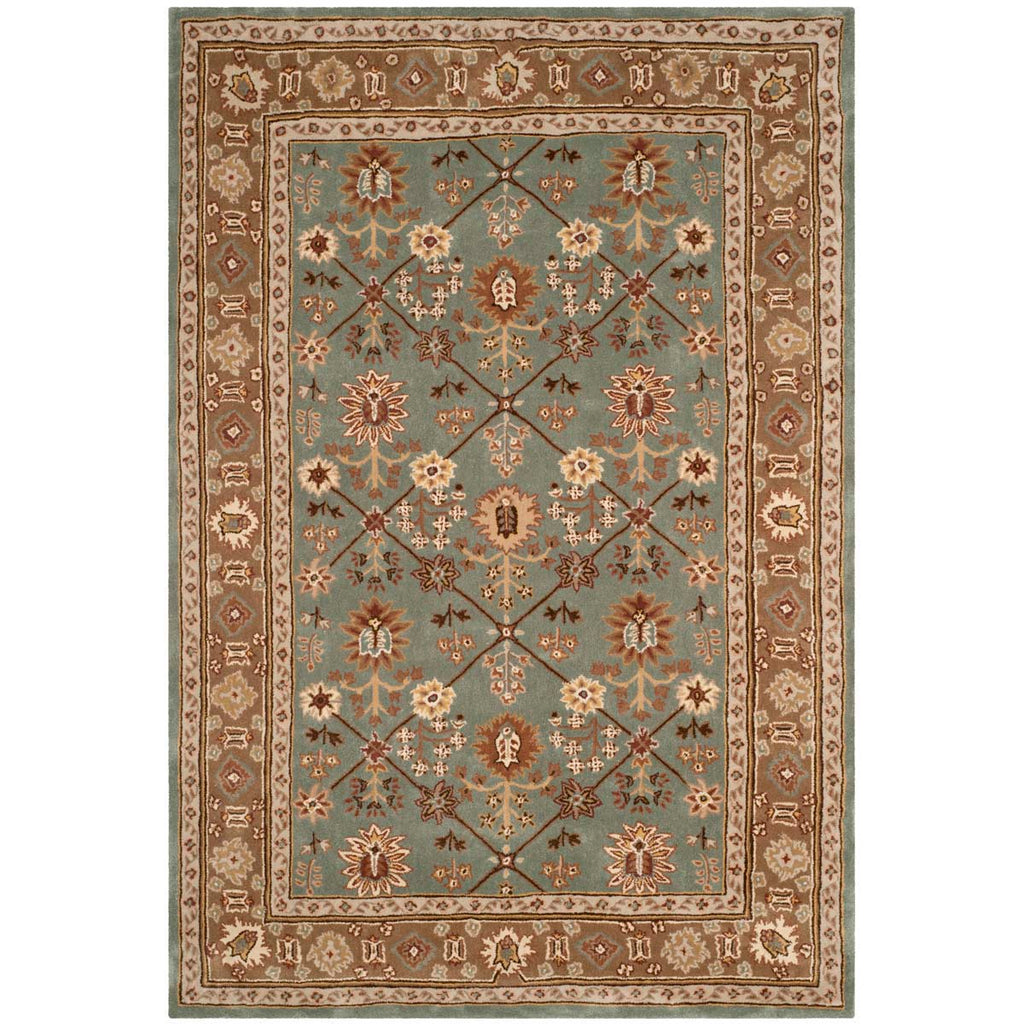 Safavieh Total Performance 723 Rug, TLP723