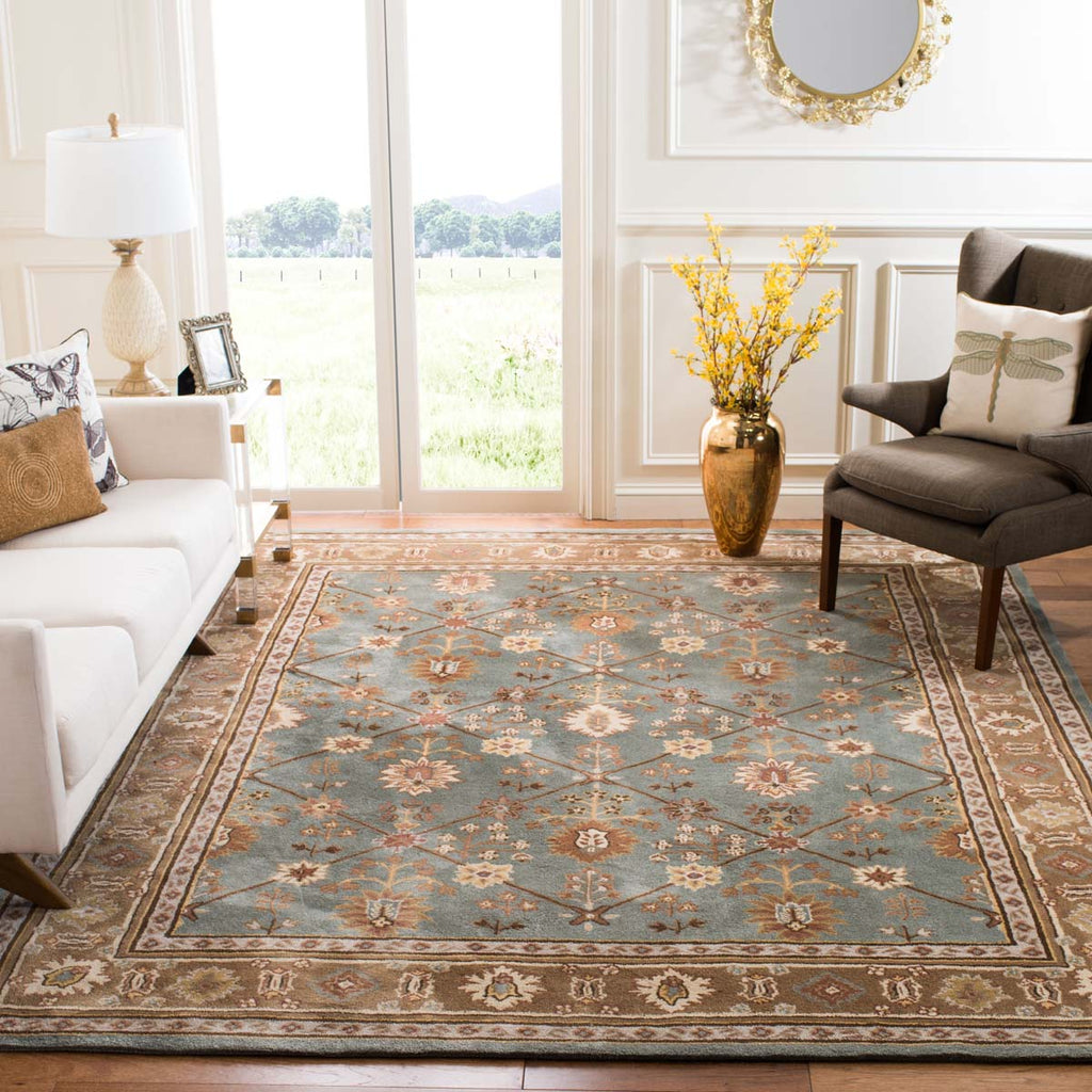 Safavieh Total Performance 723 Rug, TLP723