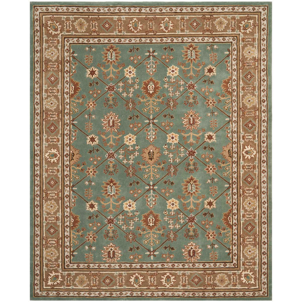 Safavieh Total Performance 723 Rug, TLP723