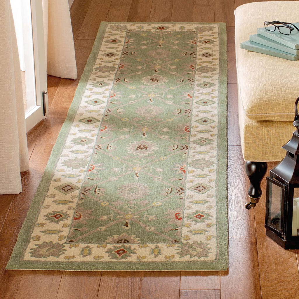 Safavieh Total Performance 723 Rug, TLP723