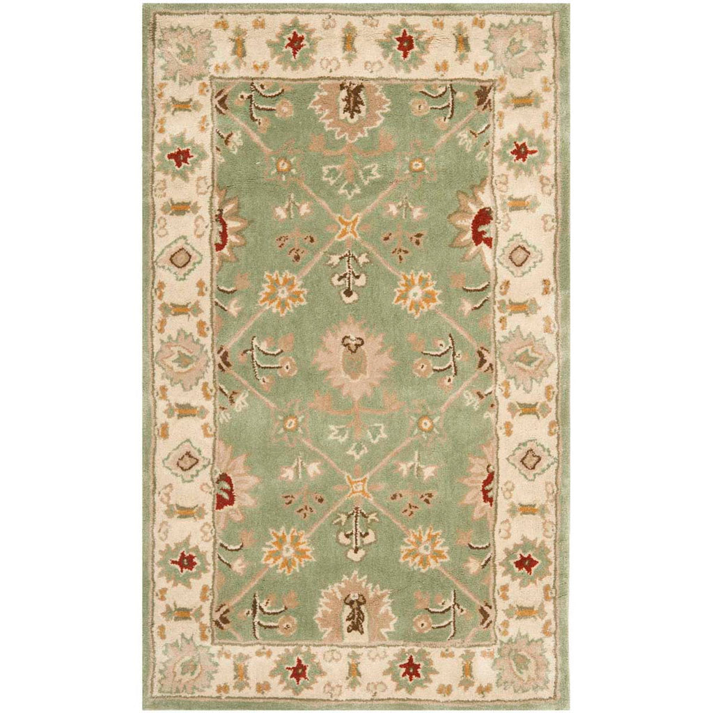 Safavieh Total Performance 723 Rug, TLP723