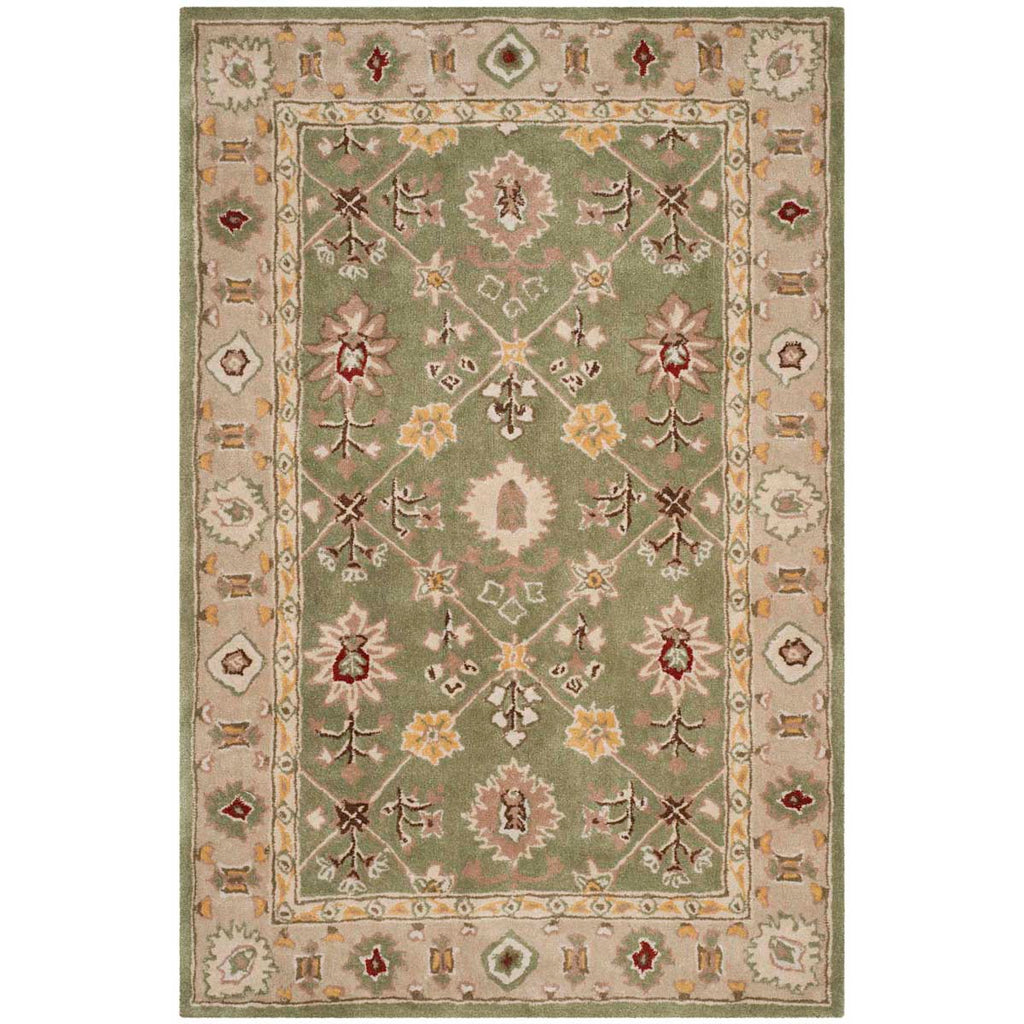 Safavieh Total Performance 723 Rug, TLP723