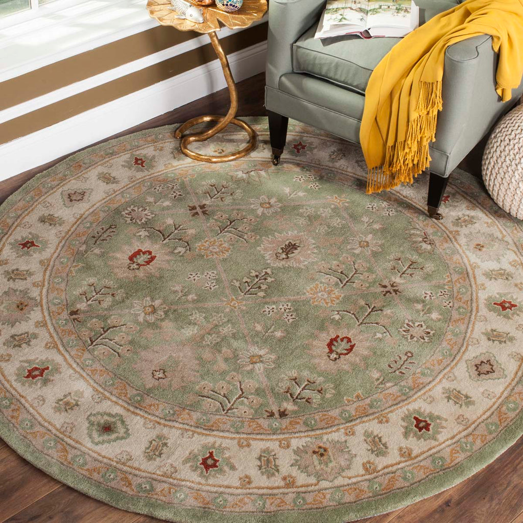 Safavieh Total Performance 723 Rug, TLP723