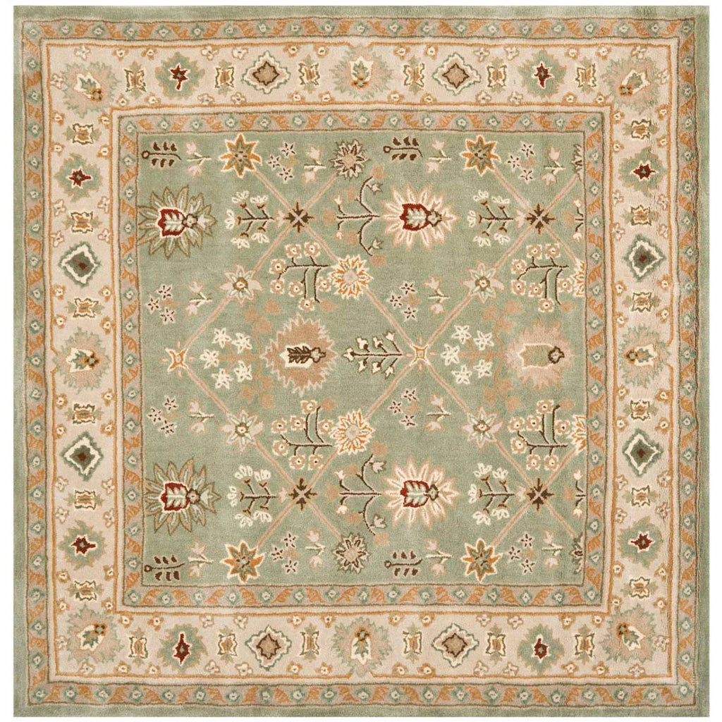 Safavieh Total Performance 723 Rug, TLP723