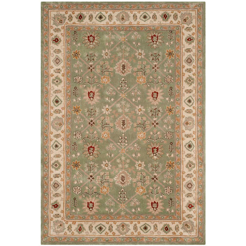 Safavieh Total Performance 723 Rug, TLP723