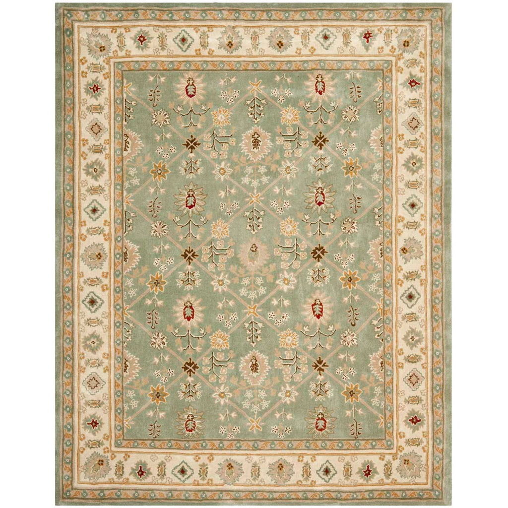 Safavieh Total Performance 723 Rug, TLP723