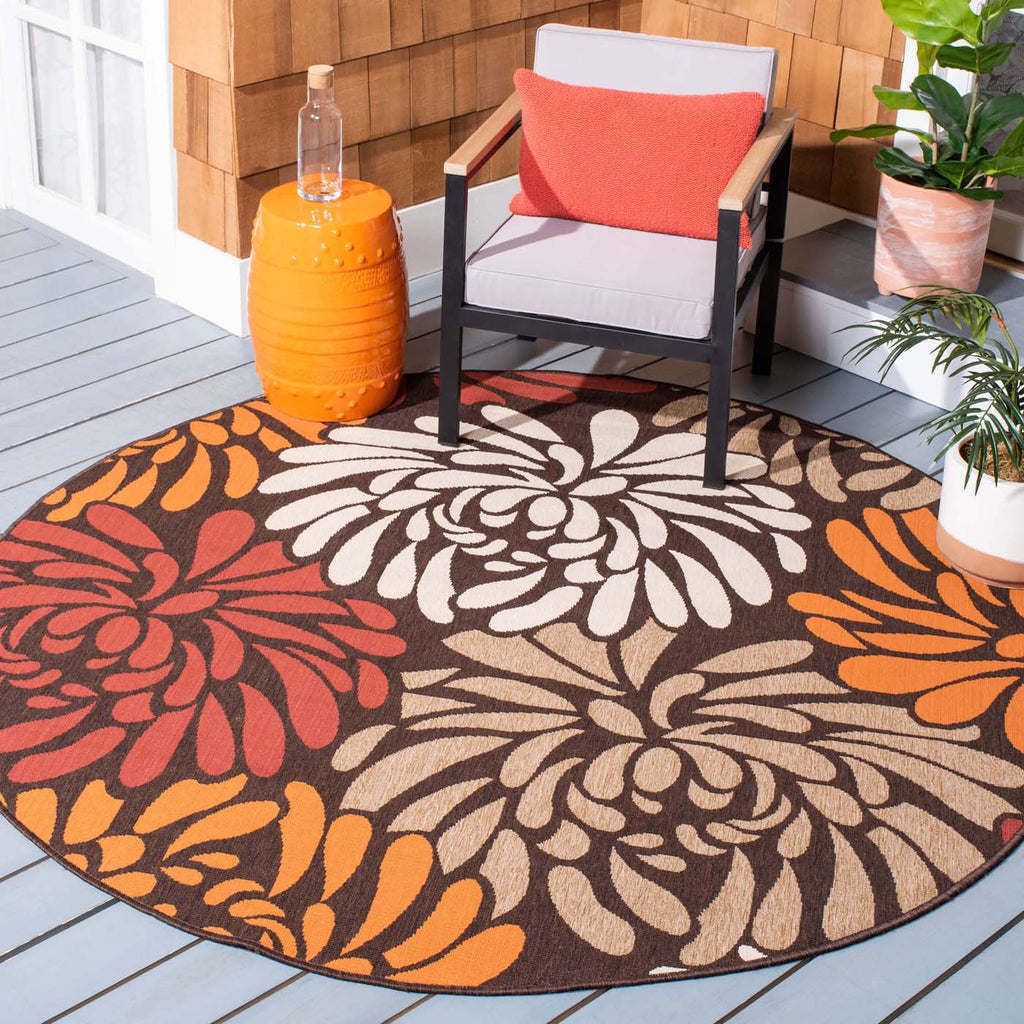 Safavieh Veranda 049 Rug, VER049