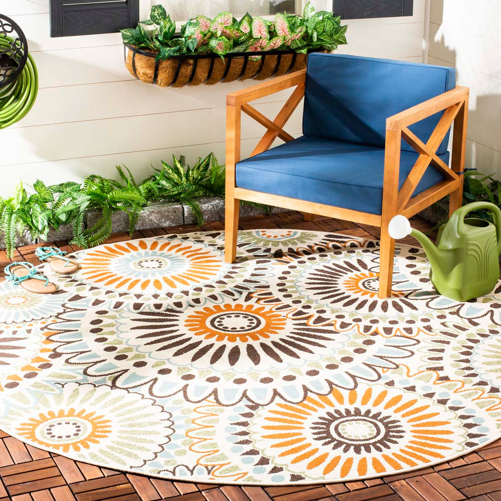 Safavieh Veranda 091 Rug, VER091