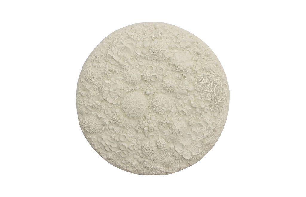 Coral Reef Wall Art, Round | Phillips Collection - PH112039