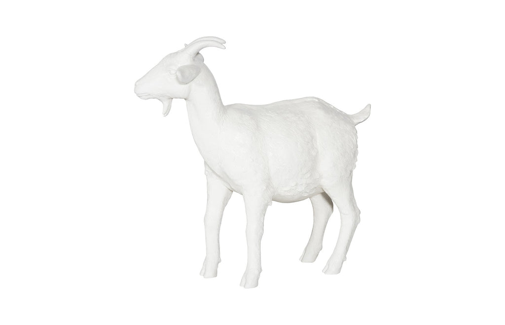 Goat, Off White | Phillips Collection - PH60872